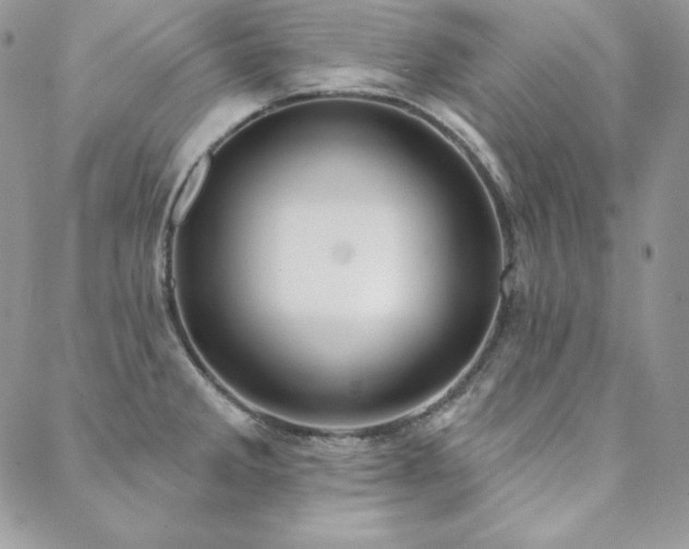 X0000088711285200705311348