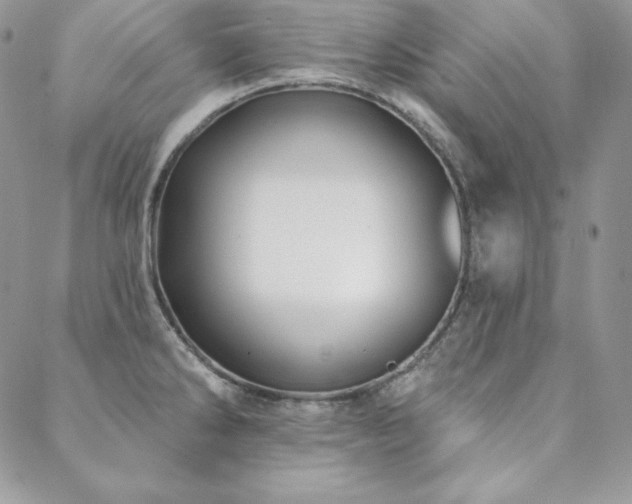 X0000088711286200705311348