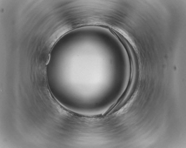 X0000088711289200705311348