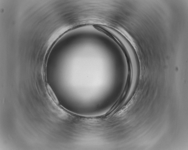 X0000088711293200705311348