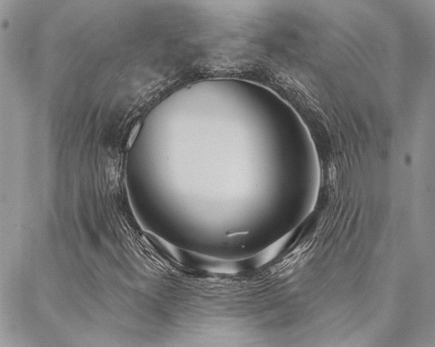 X0000088711300200705311347