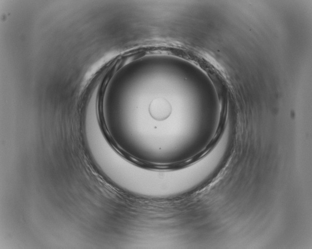 X0000088711310200705311348