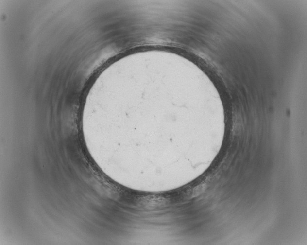 X0000088711314200705311348