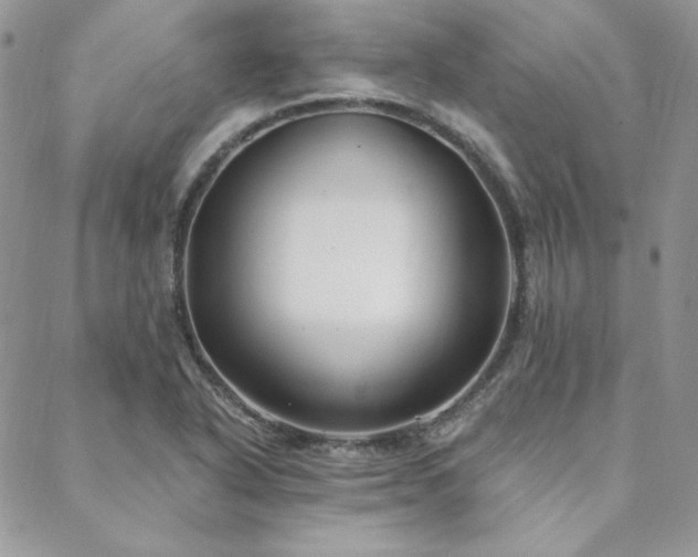 X0000088711318200705311348