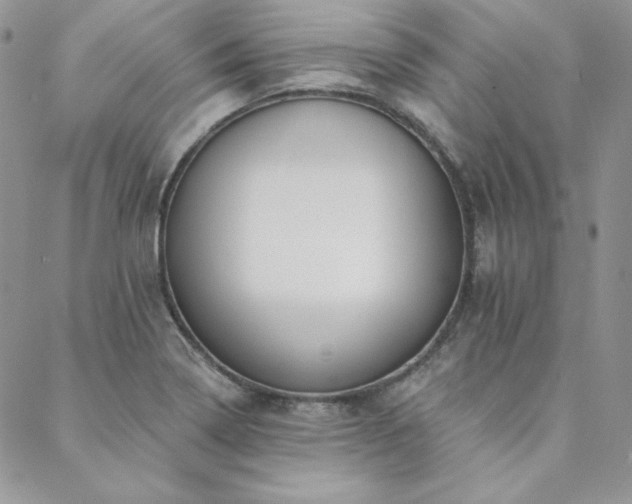 X0000088711322200705311348