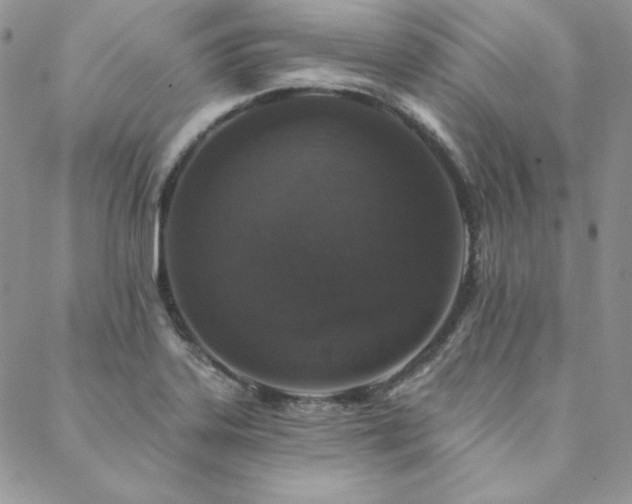 X0000088711323200705311348