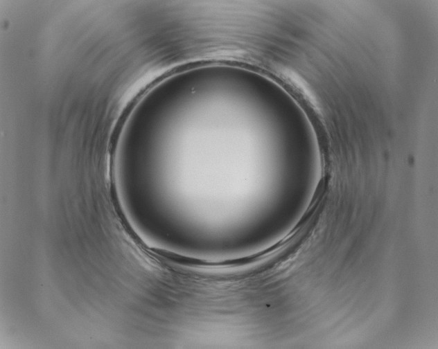 X0000088711324200705311348