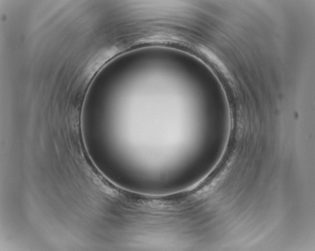 X0000088711329200705311348