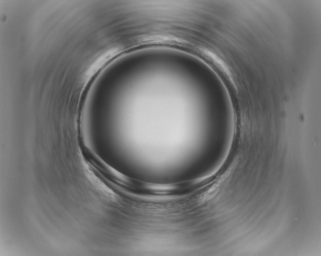X0000088711330200705311348