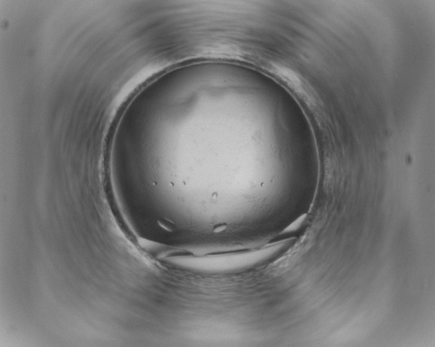 X0000088711331200705311348
