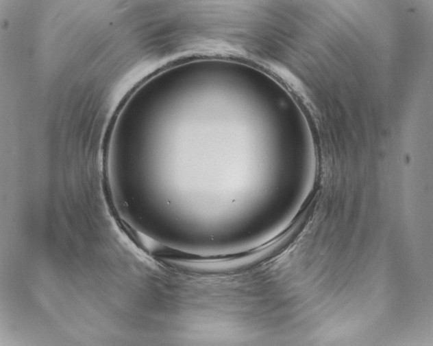 X0000088711335200705311348