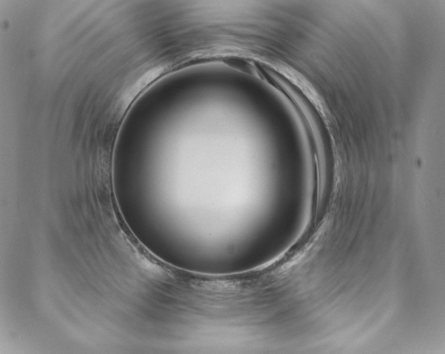 X0000088711337200705311348
