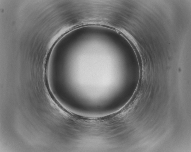 X0000088711341200705311348