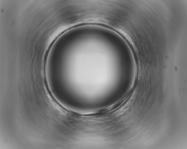 X0000088711342200705311348