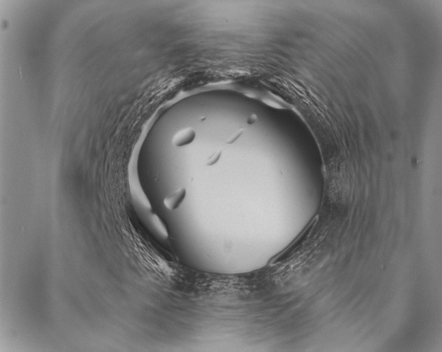 X0000088711345200705311347