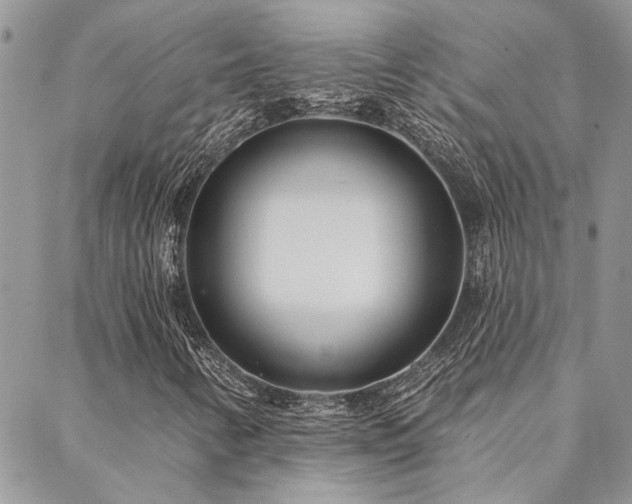 X0000088711346200705311347