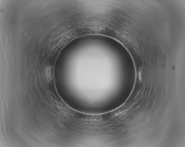 X0000088711347200705311347