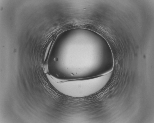 X0000088711348200705311347