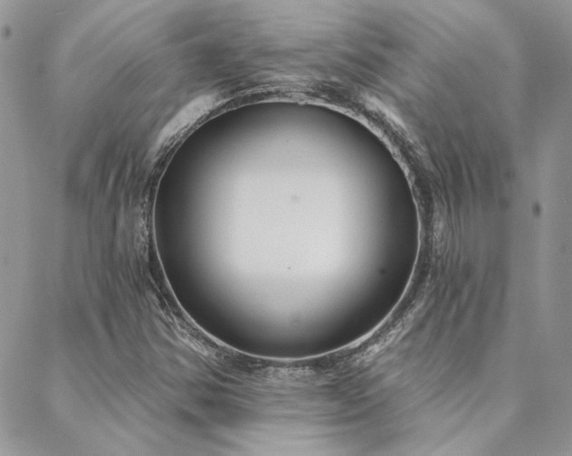 X0000088711354200705311347