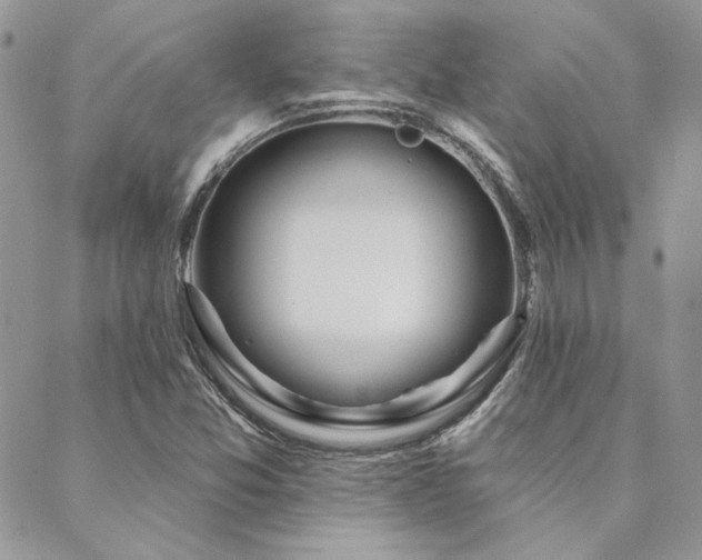 X0000088711357200705311347