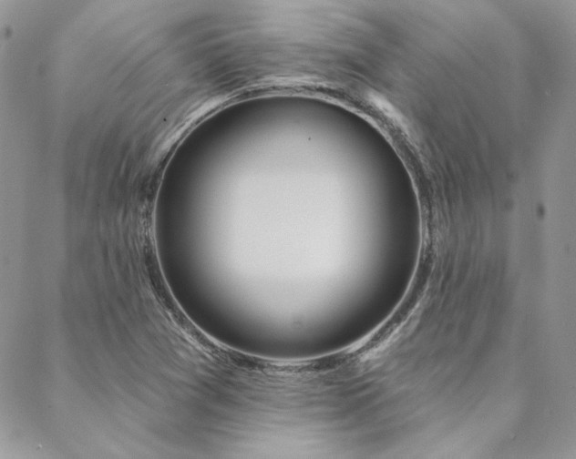 X0000088711361200705311347