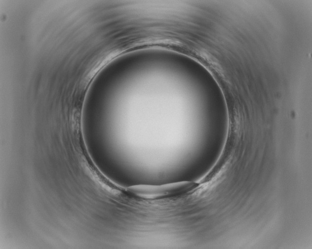 X0000088711369200705311347