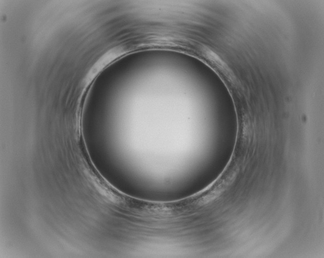 X0000088711370200705311347
