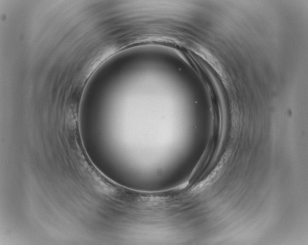 X0000088711377200705311347