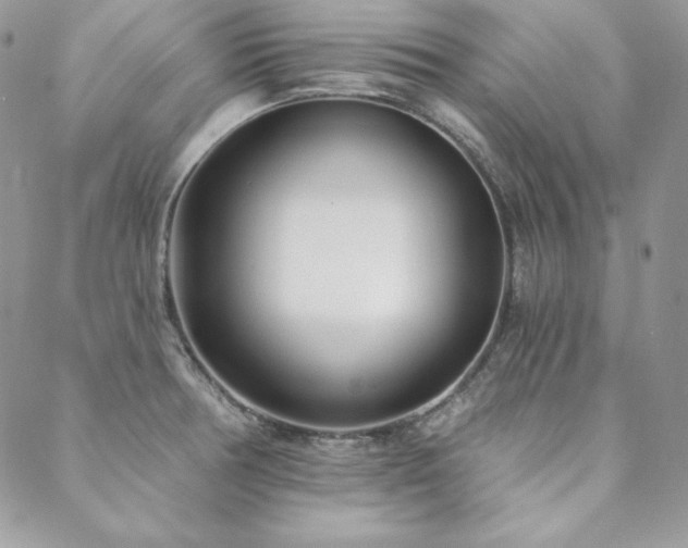 X0000088711378200705311347