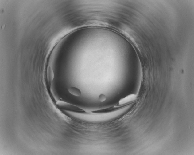 X0000088711379200705311347