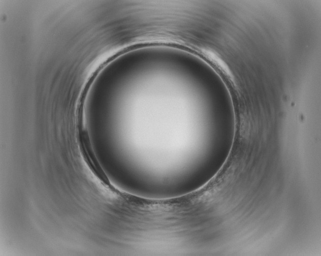 X0000088711380200705311347