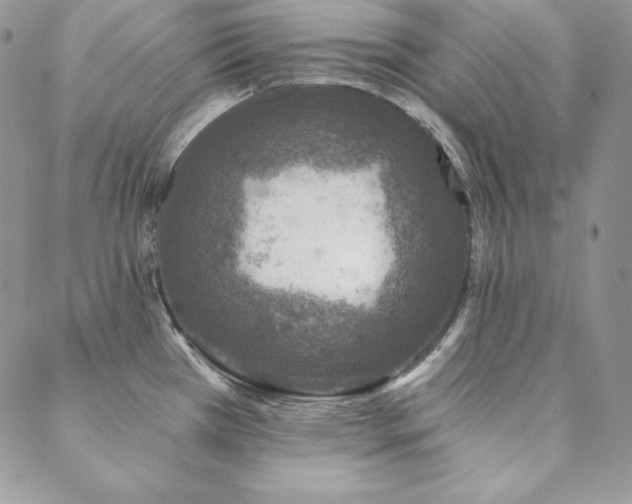 X0000088711385200705311347
