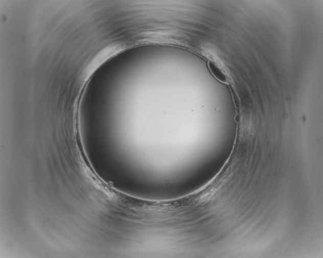 X0000088711386200705311347