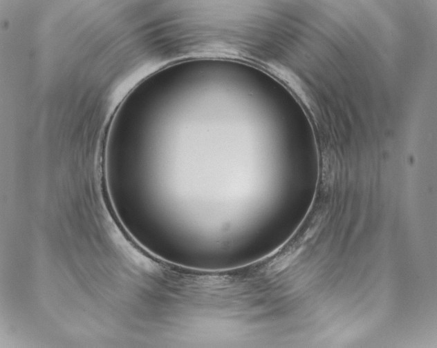 X0000088711387200705311347