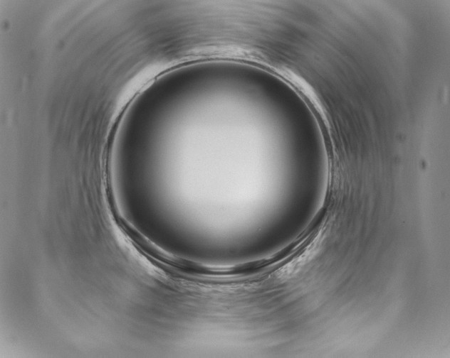 X0000088711389200705311347