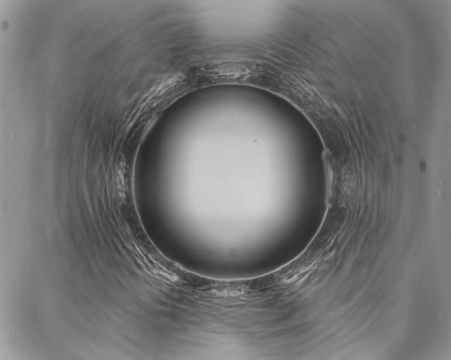 X0000088711394200705311346
