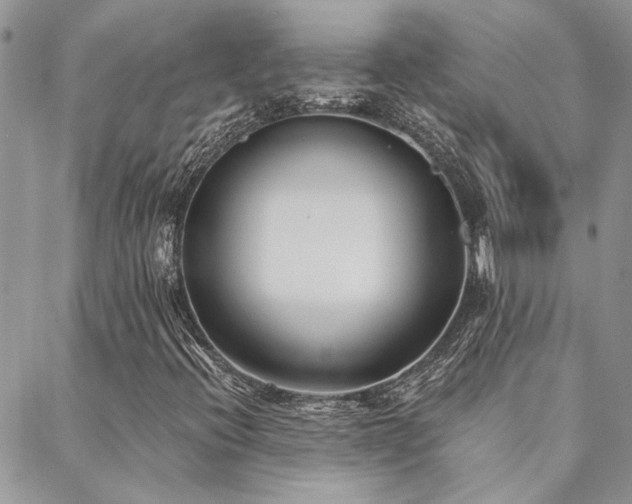 X0000088711396200705311346