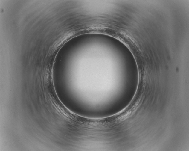 X0000088711401200705311346