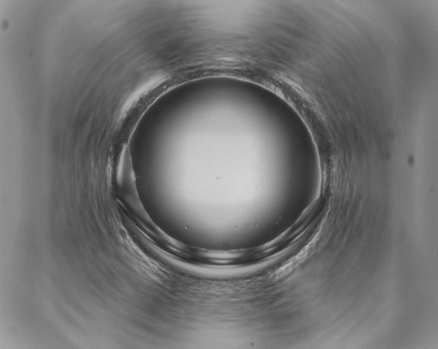 X0000088711402200705311346