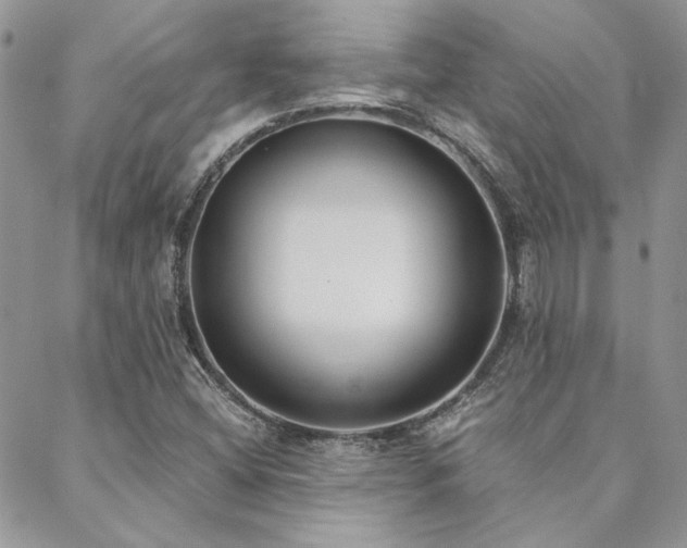 X0000088711404200705311346