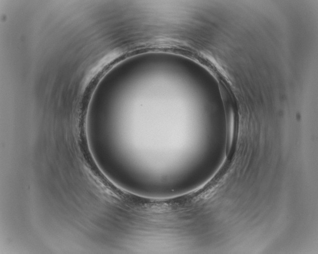 X0000088711410200705311346