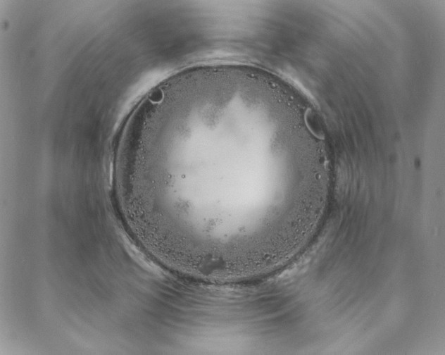 X0000088711413200705311346