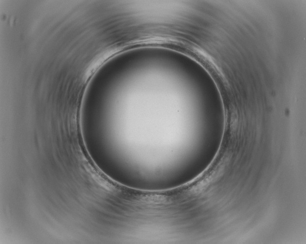 X0000088711417200705311346