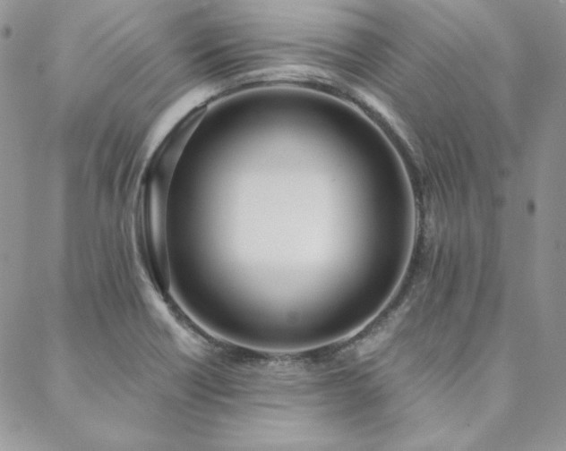 X0000088711418200705311346