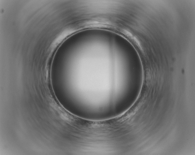 X0000088711419200705311346