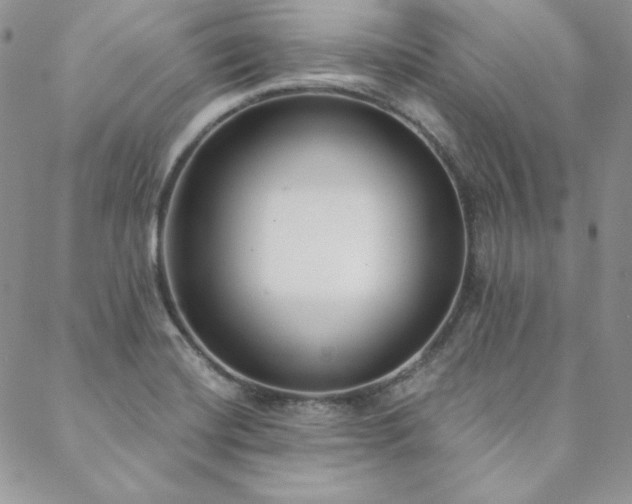 X0000088711420200705311346