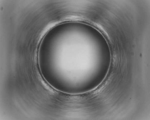 X0000088711421200705311346