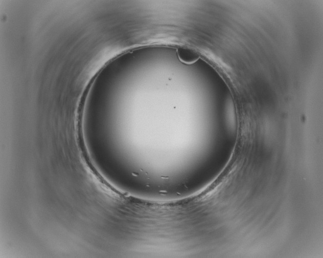 X0000088711423200705311346