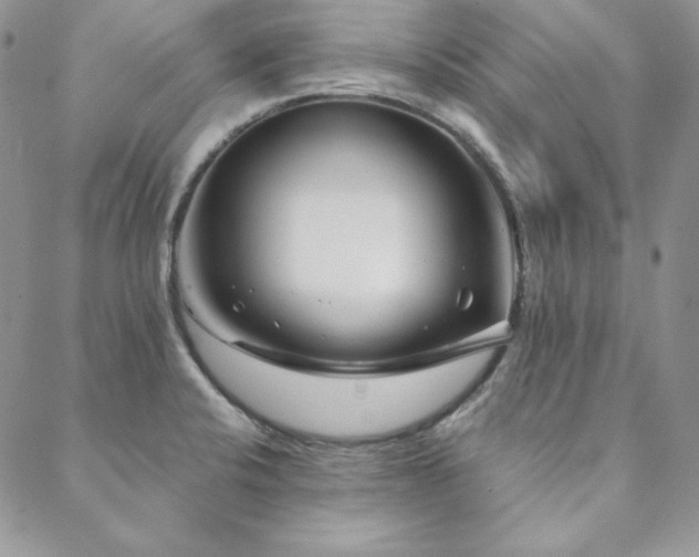 X0000088711424200705311346