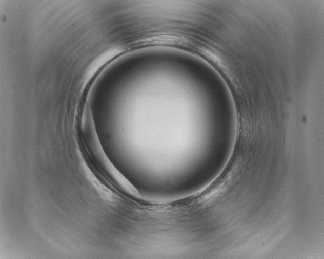 X0000088711426200705311346